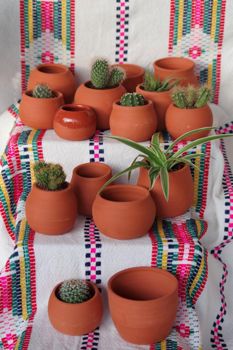 la poterie d'Alexandra Pot à cactus
